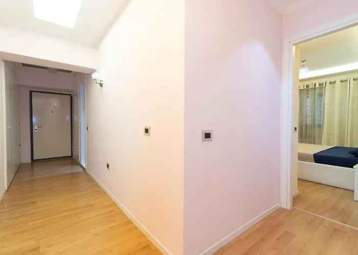 Exclusive * ティラナ